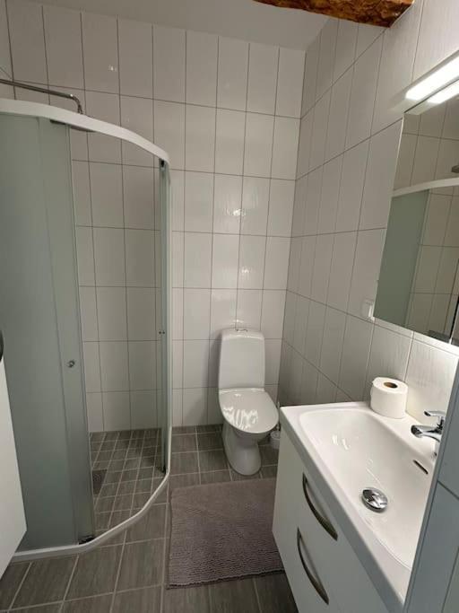 Innerstan Nya Laegenheter Soedramurgatan 45B VBY Εξωτερικό φωτογραφία